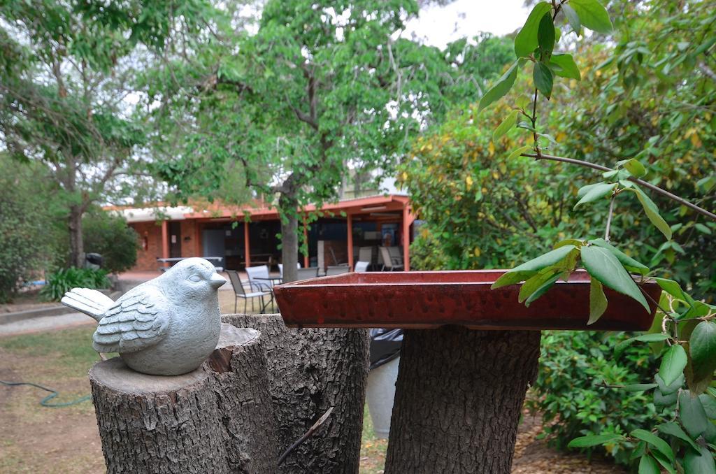 River Country Inn (Adults Only) Moama Exterior foto